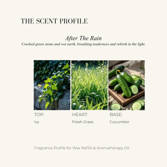 AFTER THE RAIN - Home Fragrance | LILIANNOBJECT