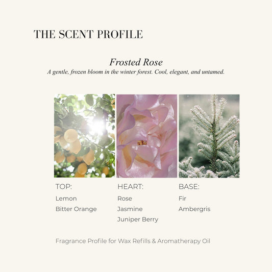 WINTER FIR - Home Fragrance | LILIANNOBJECT