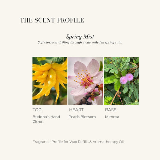 PEACH BLOSSOM - Home Fragrance | LILIANNOBJECT