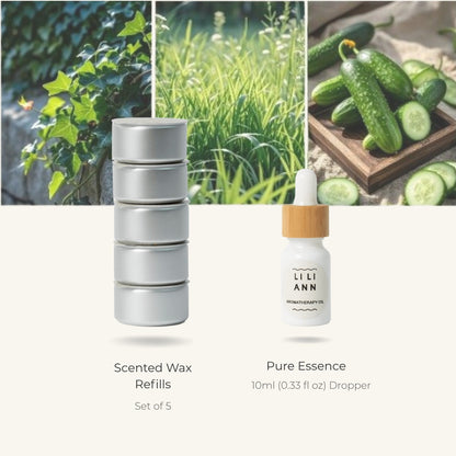 AFTER THE RAIN - Home Fragrance | LILIANNOBJECT