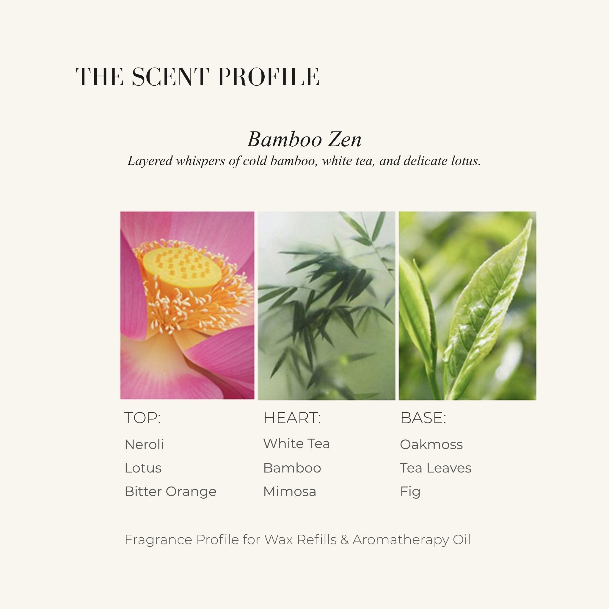 フェイスジェル・ゲル Lily LOTUS | BAMBOO LOTUS | LILIANN OBJECT – LILIANNOBJECT