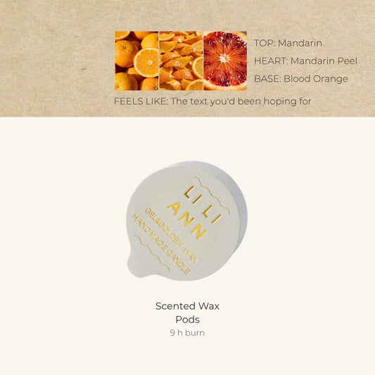 Absolute Orange Home Fragrance Refill - Home Fragrance | LILIANNOBJECT
