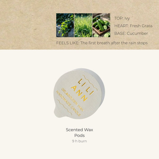 After the Rain Home Fragrance Refill - Home Fragrance | LILIANNOBJECT