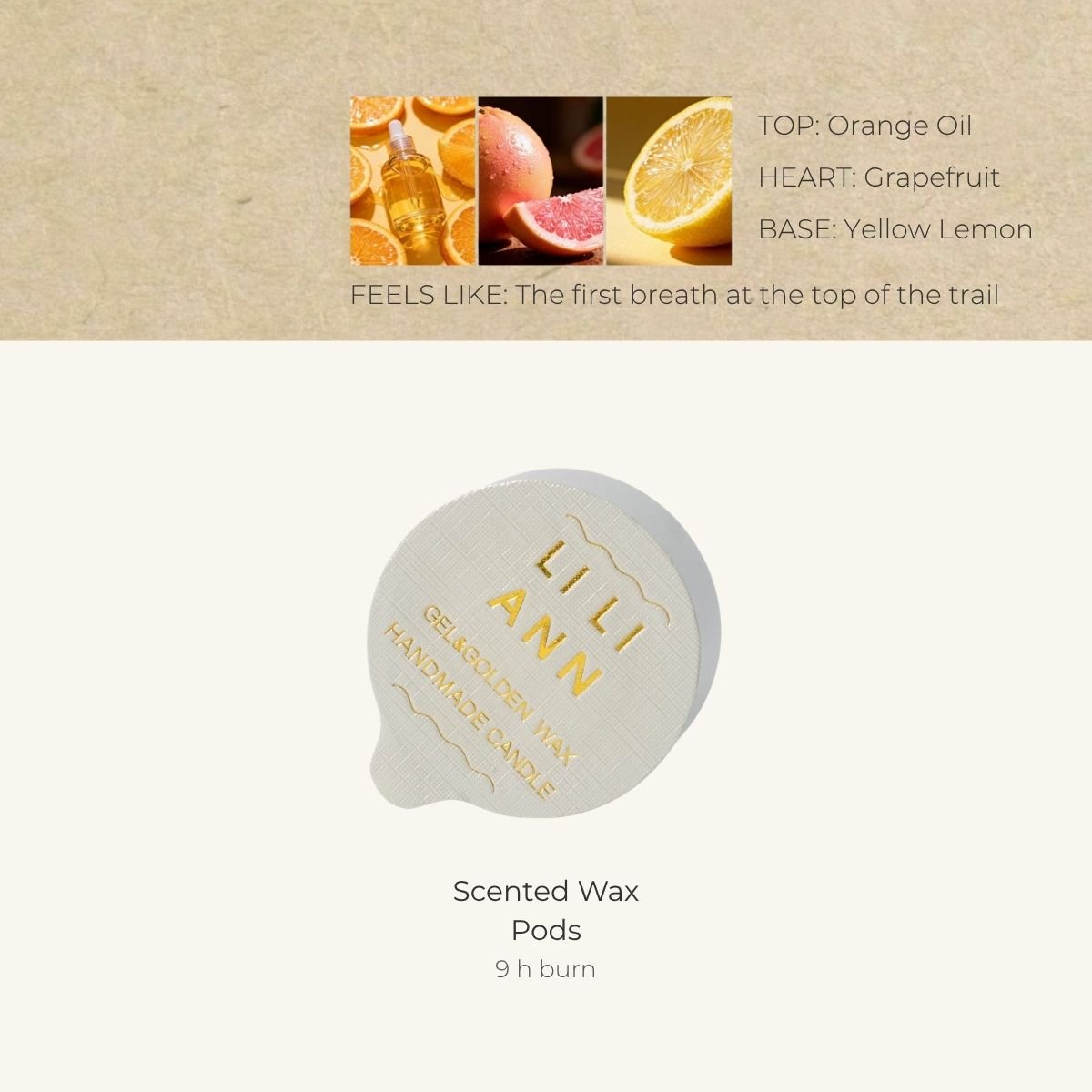 Alpine Citrus Home Fragrance Refill - Home Fragrance | LILIANNOBJECT
