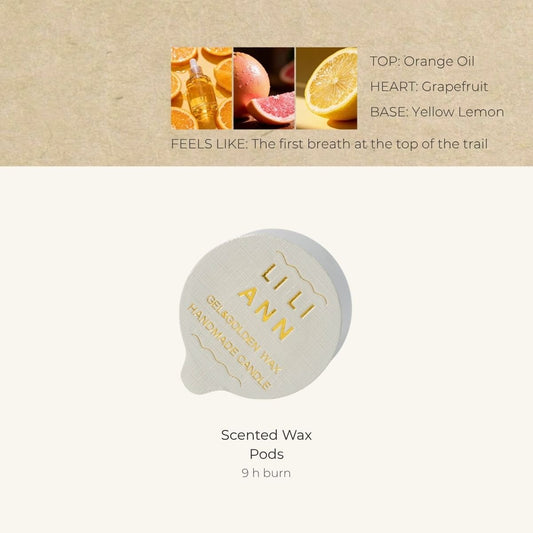 Alpine Citrus Home Fragrance Refill - Home Fragrance | LILIANNOBJECT