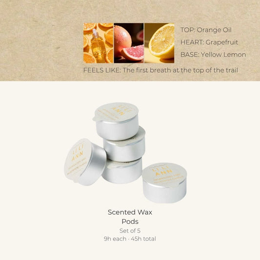Alpine Citrus Home Fragrance Refill - Home Fragrance | LILIANNOBJECT