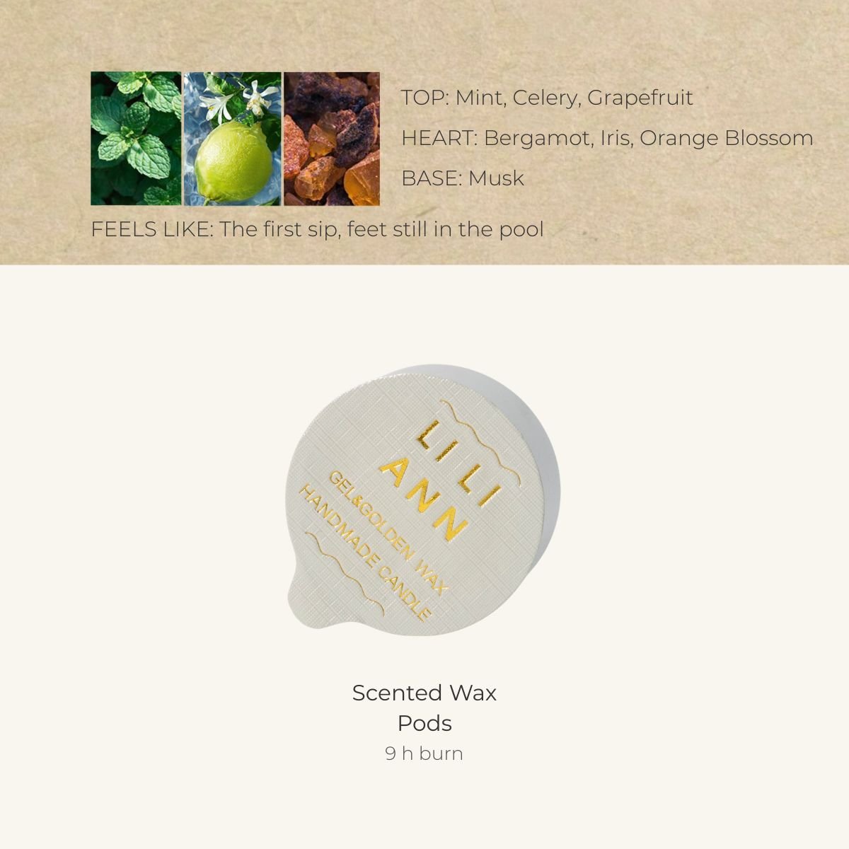 Citrus Mint Home Fragrance Refill - Home Fragrance | LILIANNOBJECT