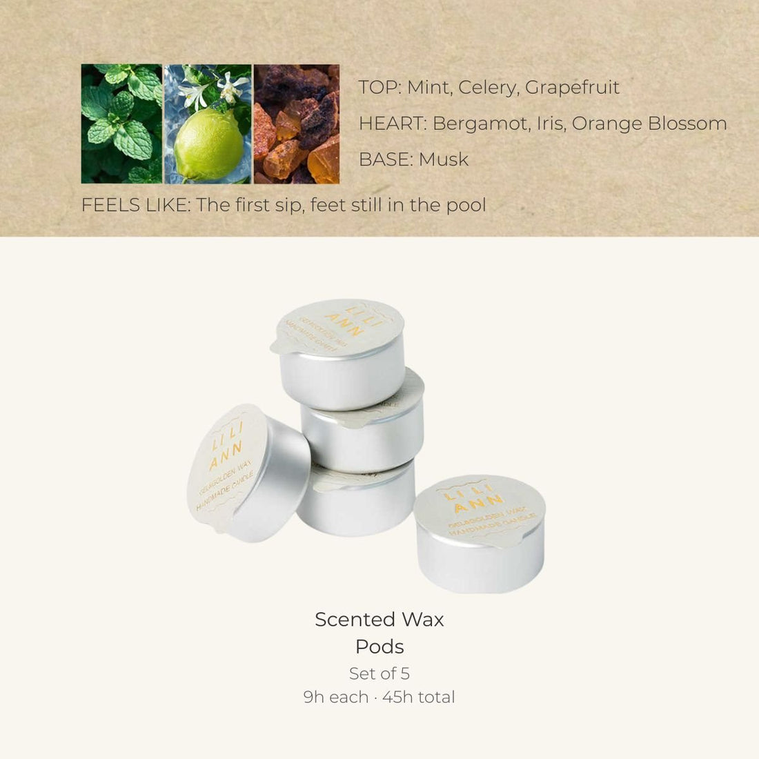 Citrus Mint Home Fragrance Refill - Home Fragrance | LILIANNOBJECT