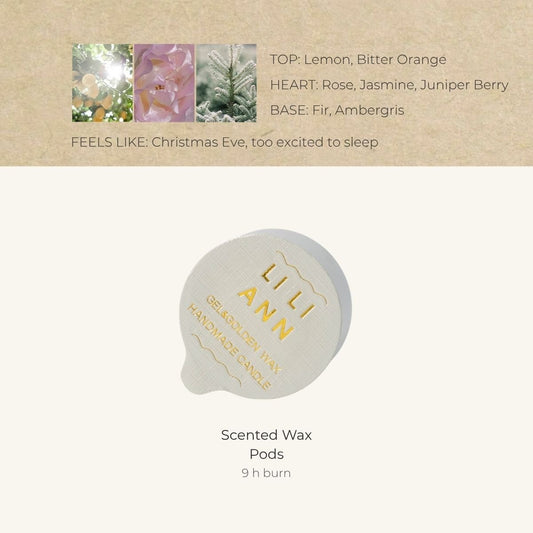 Winter Fir Home Fragrance Refill - Home Fragrance | LILIANNOBJECT