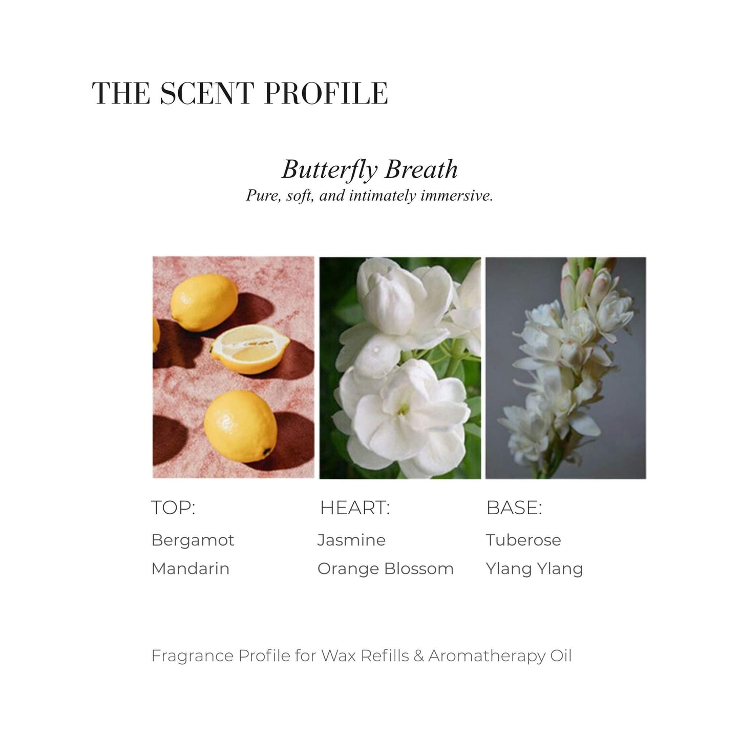 BUTTERFLY BREATH | The Scent .01
