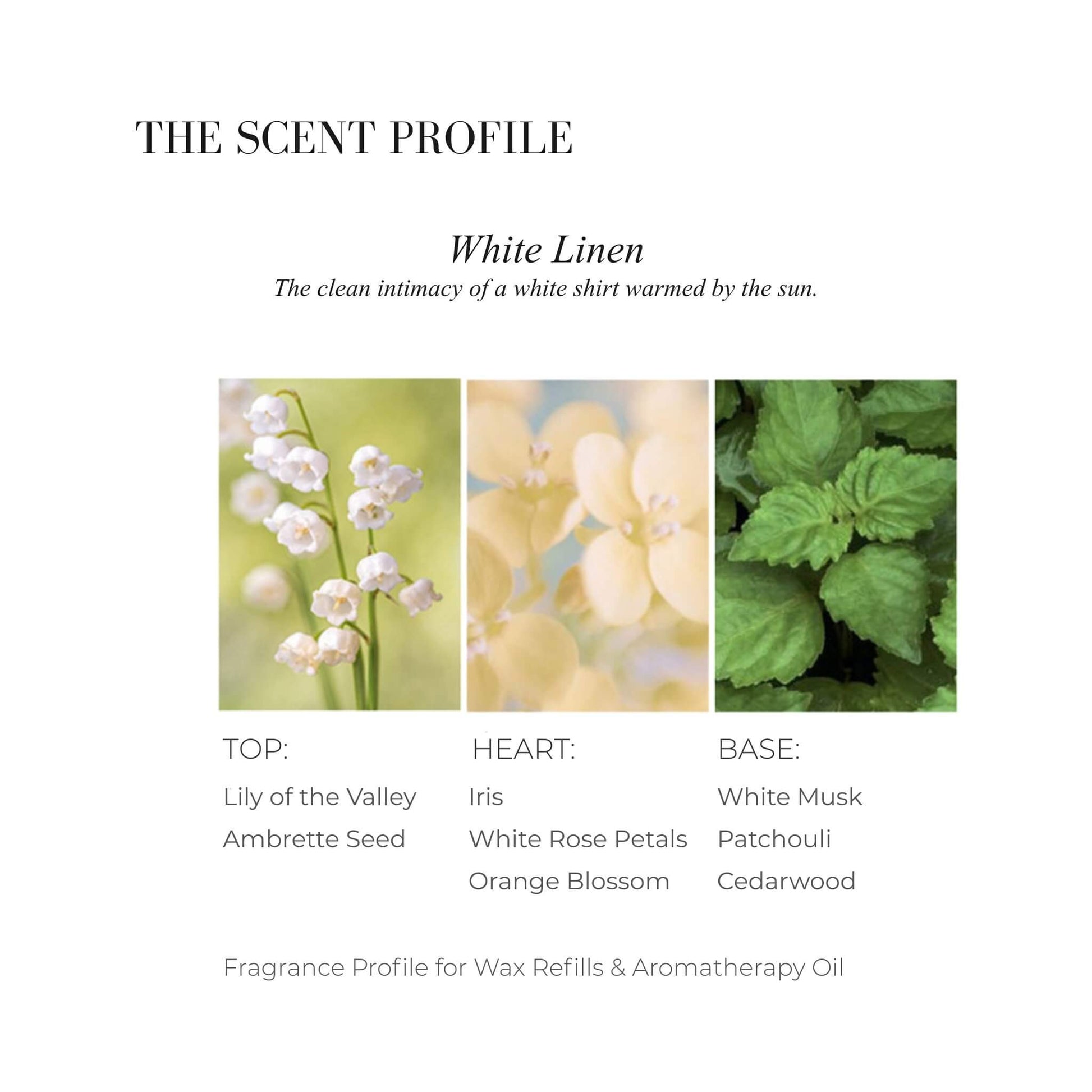 Scent profile chart for White Linen featuring Lily of the Valley, Iris, and Patchouli leaves.