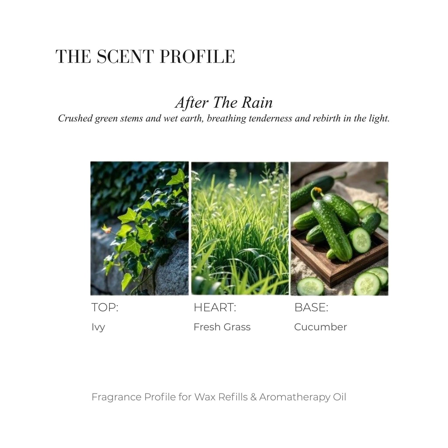 Scent profile chart for After The Rain featuring Ivy, Fresh Grass, and Cucumber.