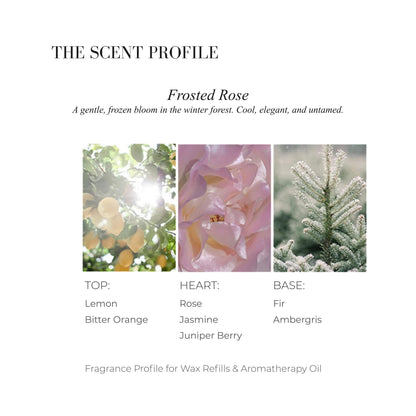 Scent profile chart for Frosted Rose featuring Lemon slices, Pink Rose, and Fir tree branches.