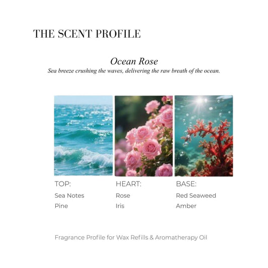 Scent profile chart for Ocean Rose featuring Sea waves, Pink Rose petals, and Red Seaweed/Coral.