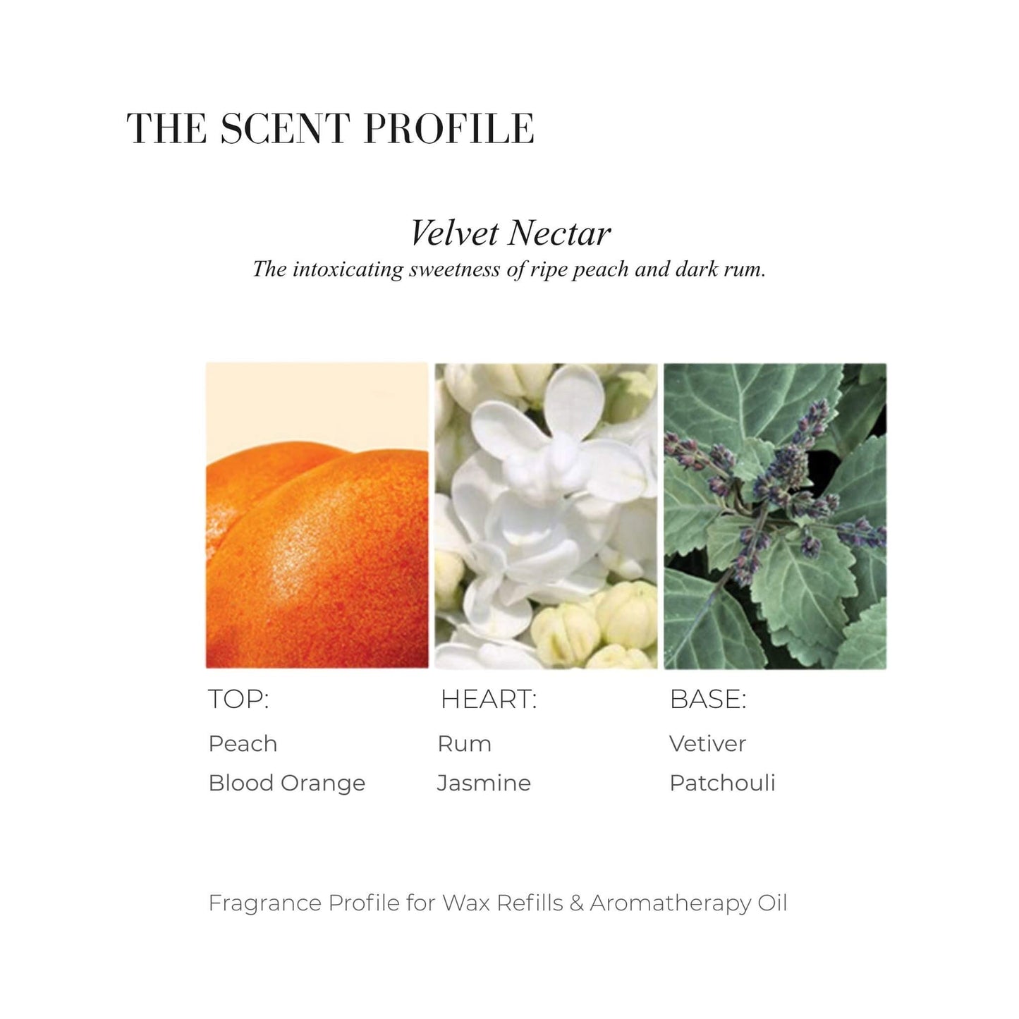 Scent profile chart for The Neon Sweetness featuring Rhubarb, Elderflower, and Tea Rose.