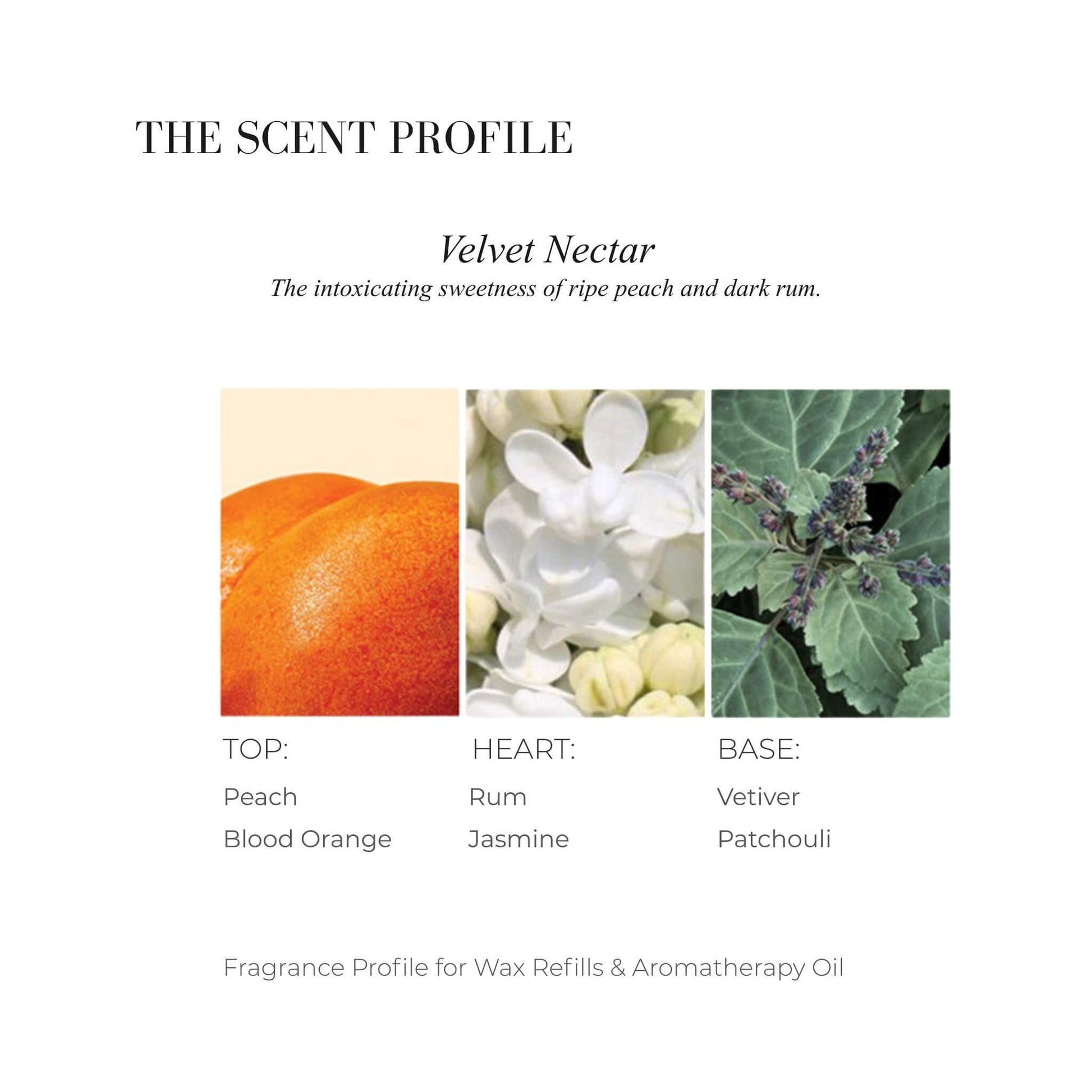 Scent profile chart for The Neon Sweetness featuring Rhubarb, Elderflower, and Tea Rose.