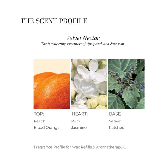 Scent profile chart for The Neon Sweetness featuring Rhubarb, Elderflower, and Tea Rose.