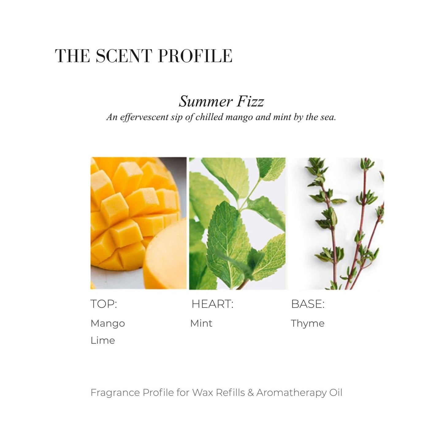 Scent profile chart for Summer Fizz featuring Mango, Mint, and Thyme.