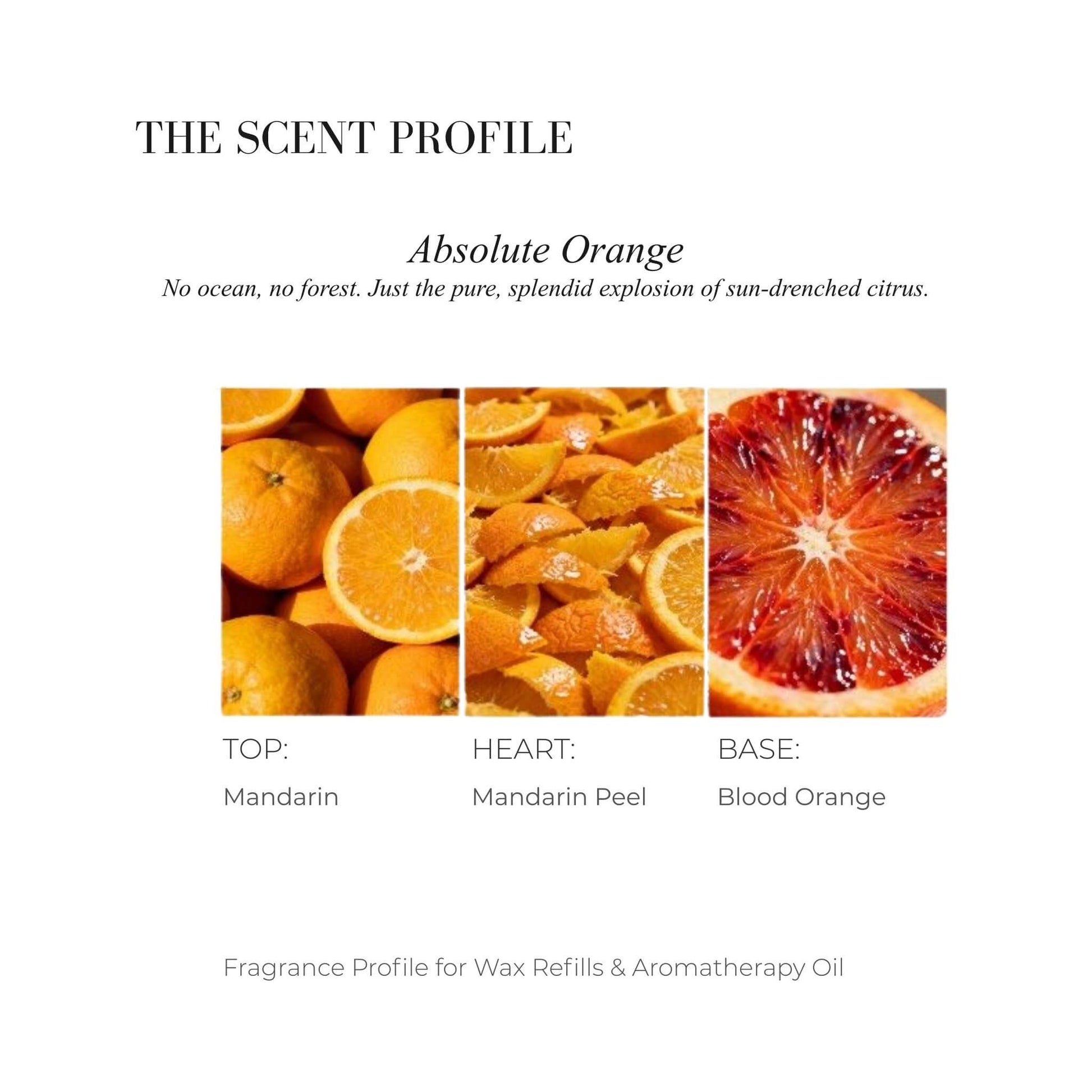 Scent profile chart for Absolute Orange featuring Mandarin, Peel, and Blood Orange.
