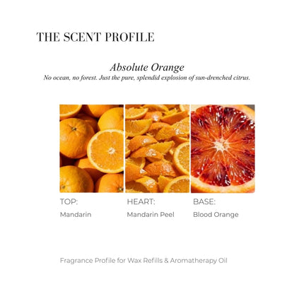 Scent profile chart for Absolute Orange featuring Mandarin, Peel, and Blood Orange.
