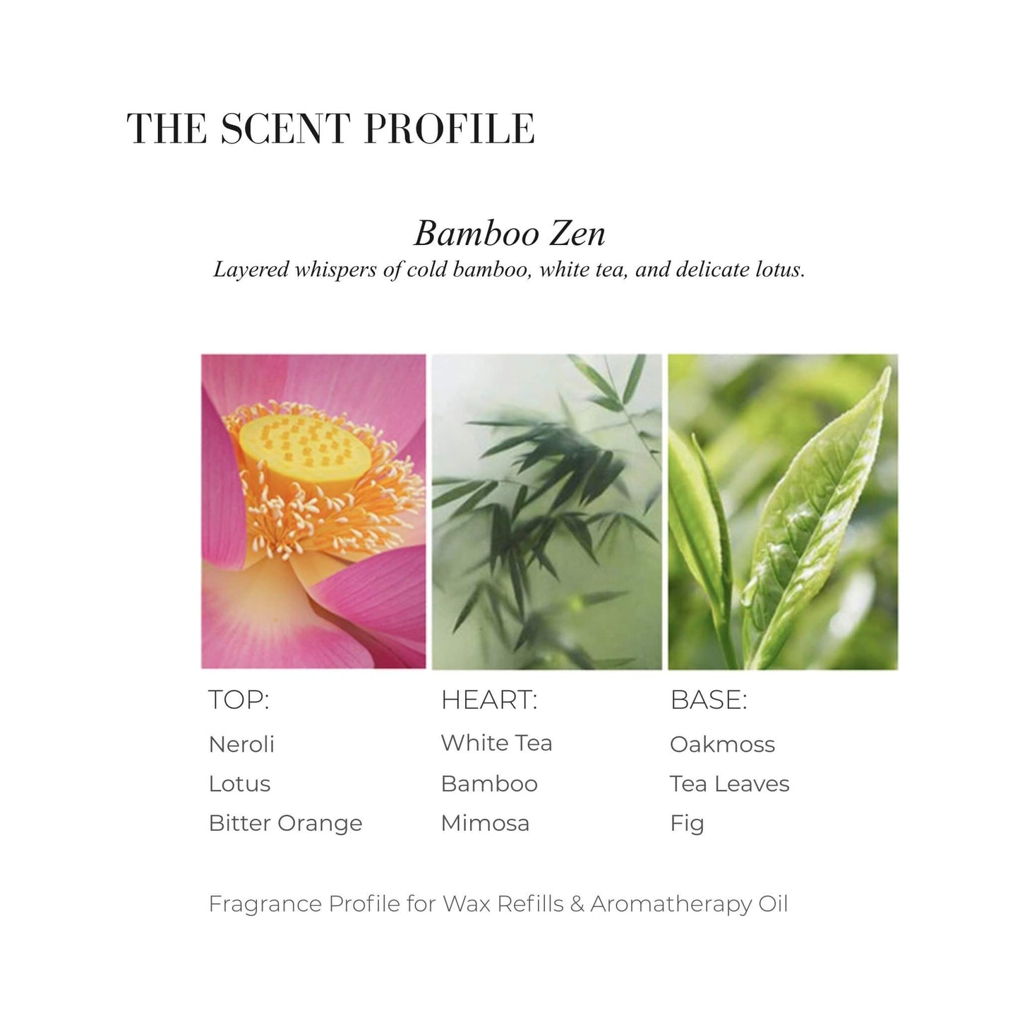Scent profile chart for Bamboo Zen featuring Lotus flower, Green Bamboo, and White Tea leaves.