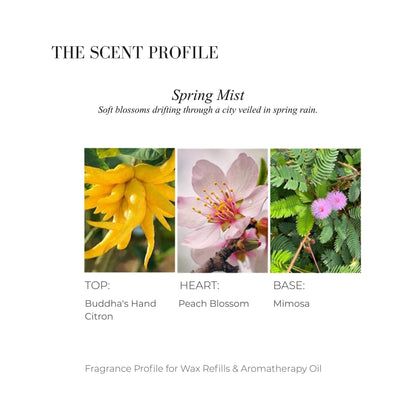 Scent profile chart for Spring Mist featuring Buddha's Hand, Peach Blossom, and Mimosa.