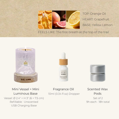 Snow Peak Decorative Gel Candle – Refillable Home Fragrance, Alpine Citrus - home decor | LILIANNOBJECT